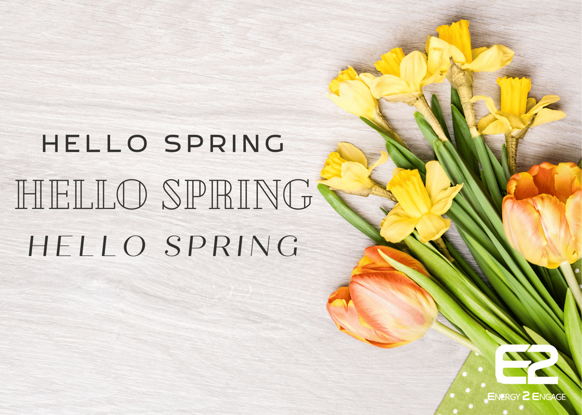 hello spring 
